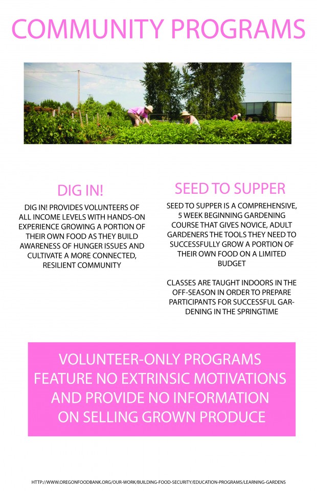 ARCH581 SPIN FARMING Final