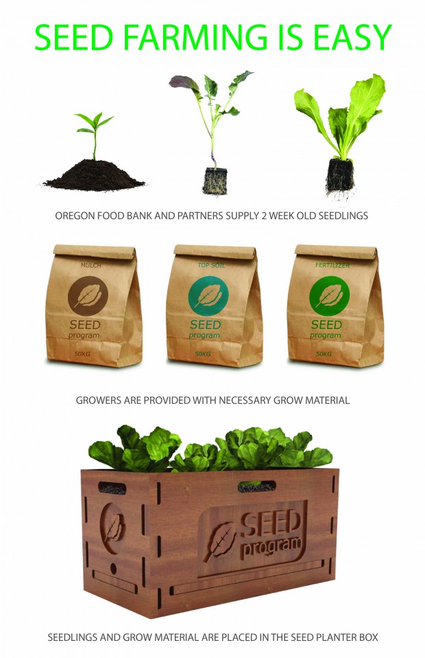 ARCH581 SPIN FARMING Final