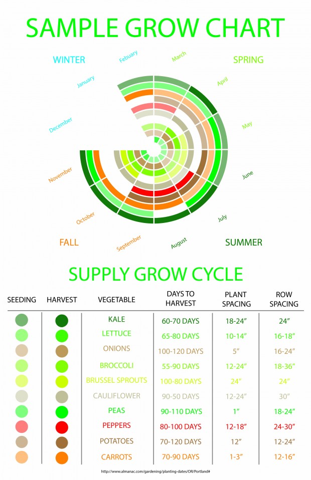 ARCH581 SPIN FARMING Final