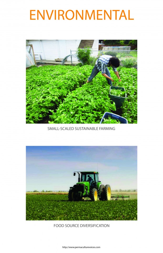 ARCH581 SPIN FARMING Final